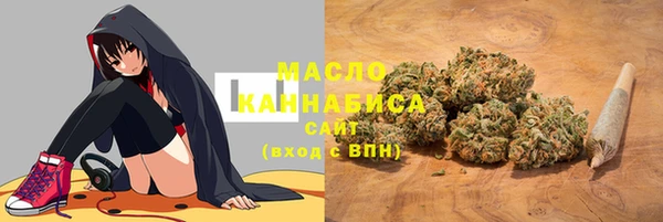 шишки Вяземский