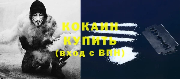 шишки Вяземский