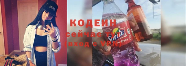 шишки Вяземский