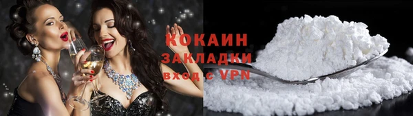 шишки Вяземский