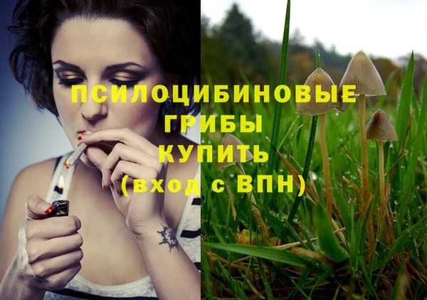 шишки Вяземский