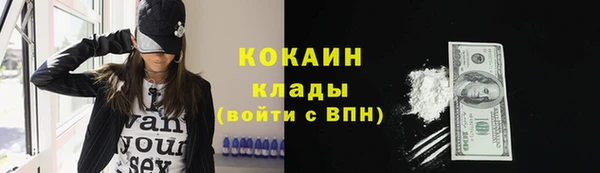 шишки Вяземский