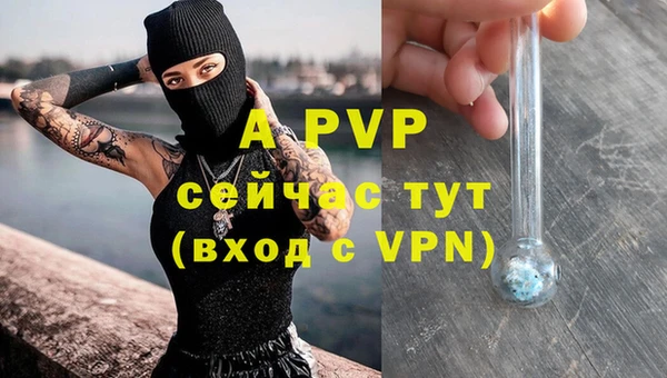шишки Вяземский