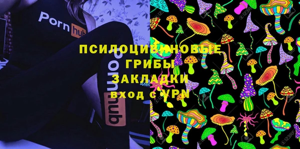 шишки Вяземский