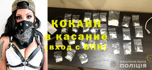 шишки Вяземский