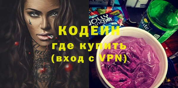 шишки Вяземский