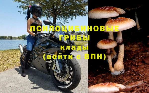 шишки Вяземский